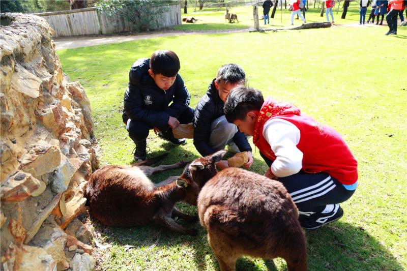 【震撼·幸福·自豪】 ----少年演講家卓越系統澳洲游學贏第四天精彩紀實！