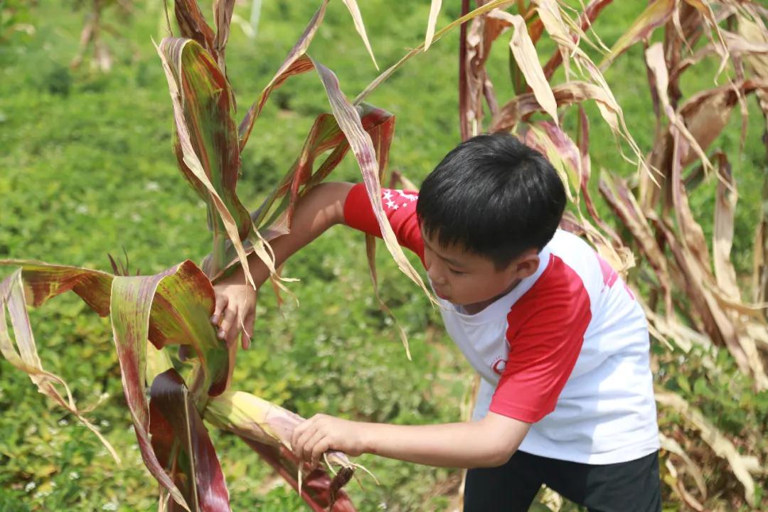 歐爸動能·少年演講家苦信贏